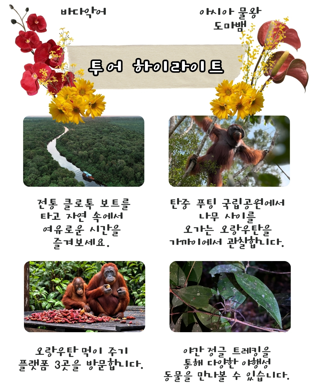 칼리만탄 탄중푸팅 국립공원-2박3일 클로톡 보트투어