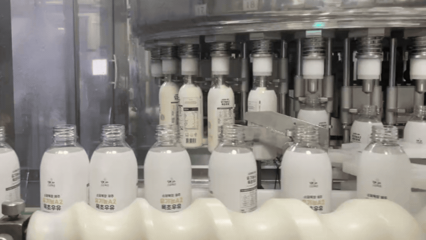 [정기구독] 제주 유기농A2 목초우유 750ml, 3개