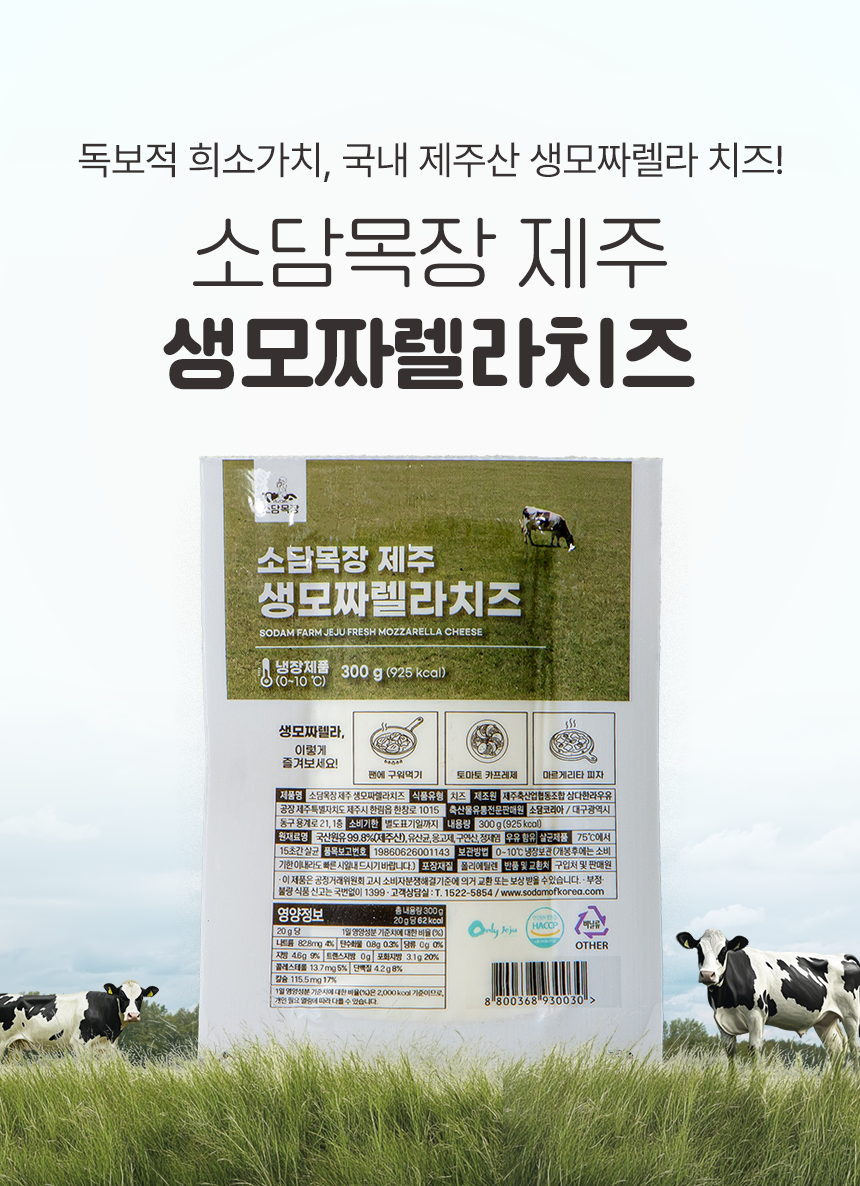 제주 생모짜렐라 치즈 300g, 2개
