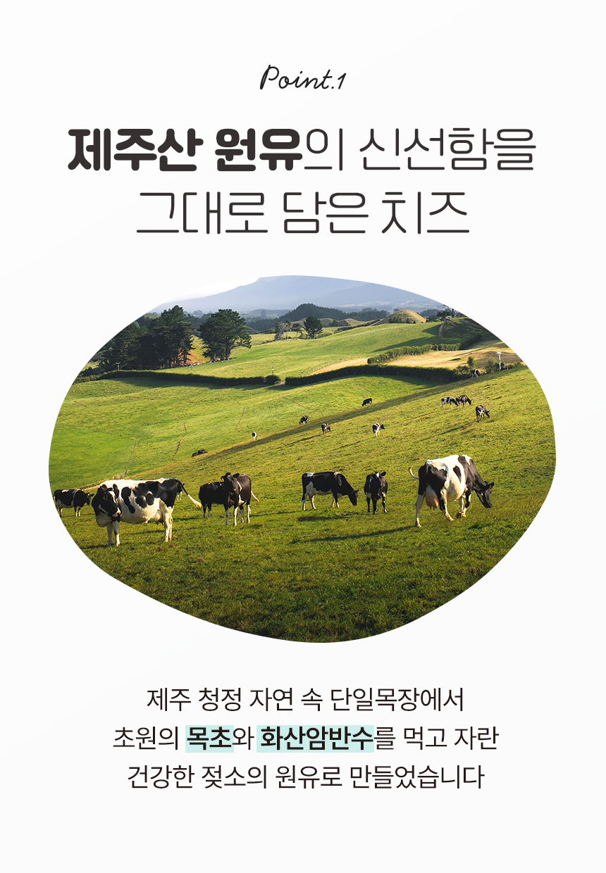 제주 담은 슈레드 피자치즈 200g (50g*4개입), 4개
