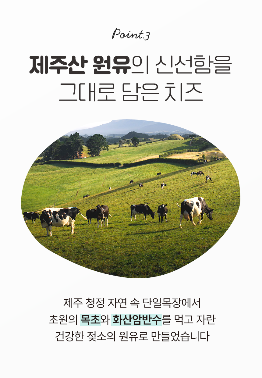 [체험팩] 유기농 A2 목초우유 120ml*3개 + 스트링치즈 100g (20g*5개입)