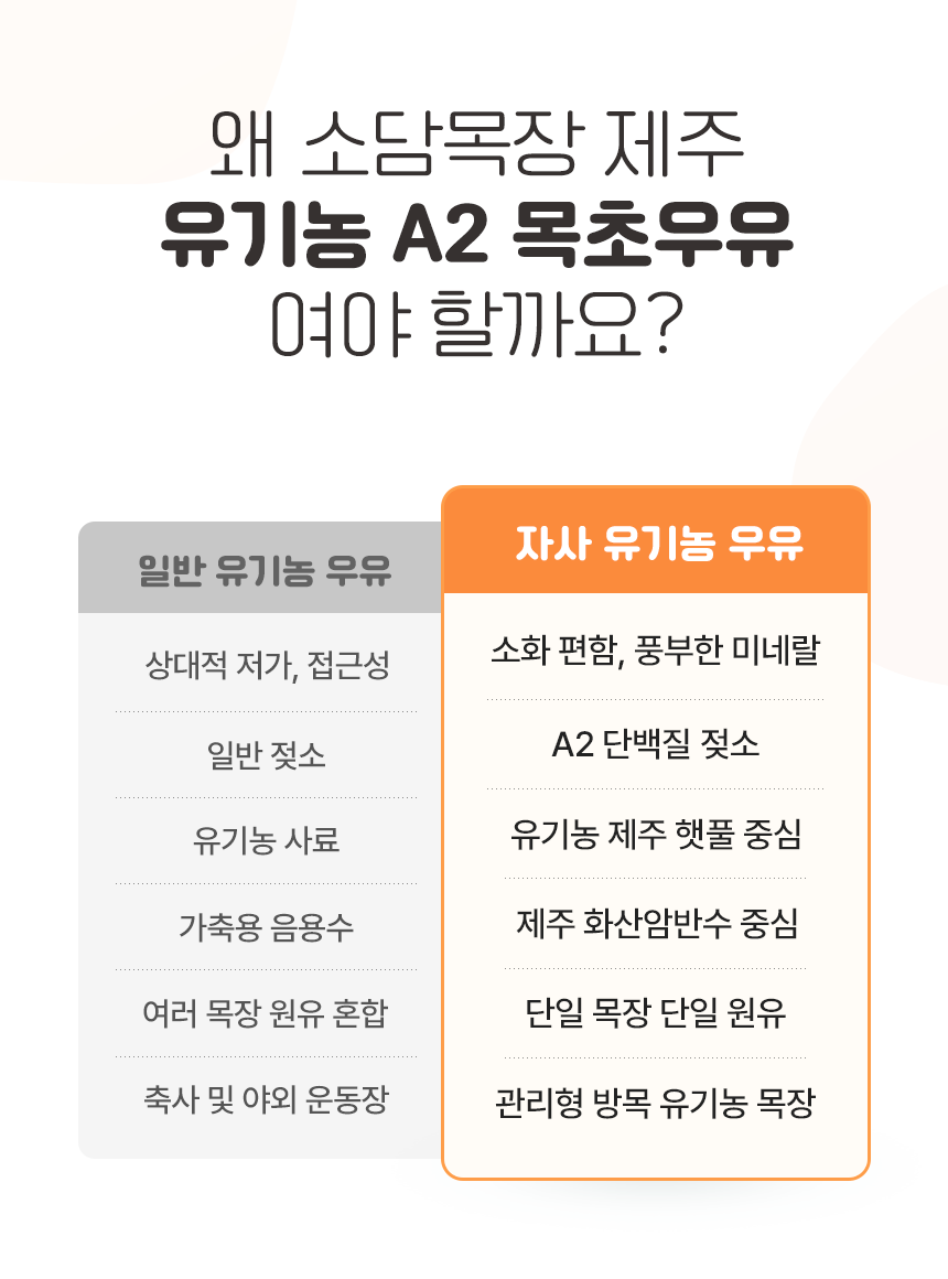 제주 유기농A2 목초우유 120ml, 6개