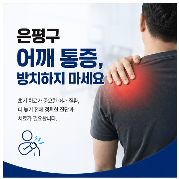 은평구어깨1.png