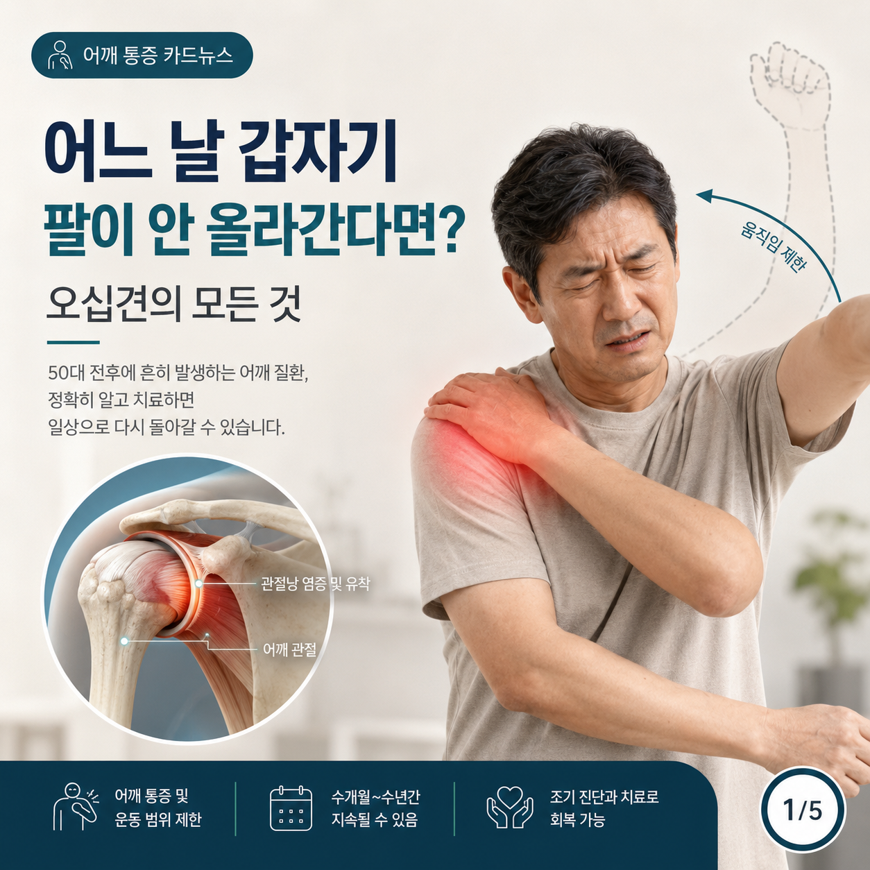은평구어깨6.png