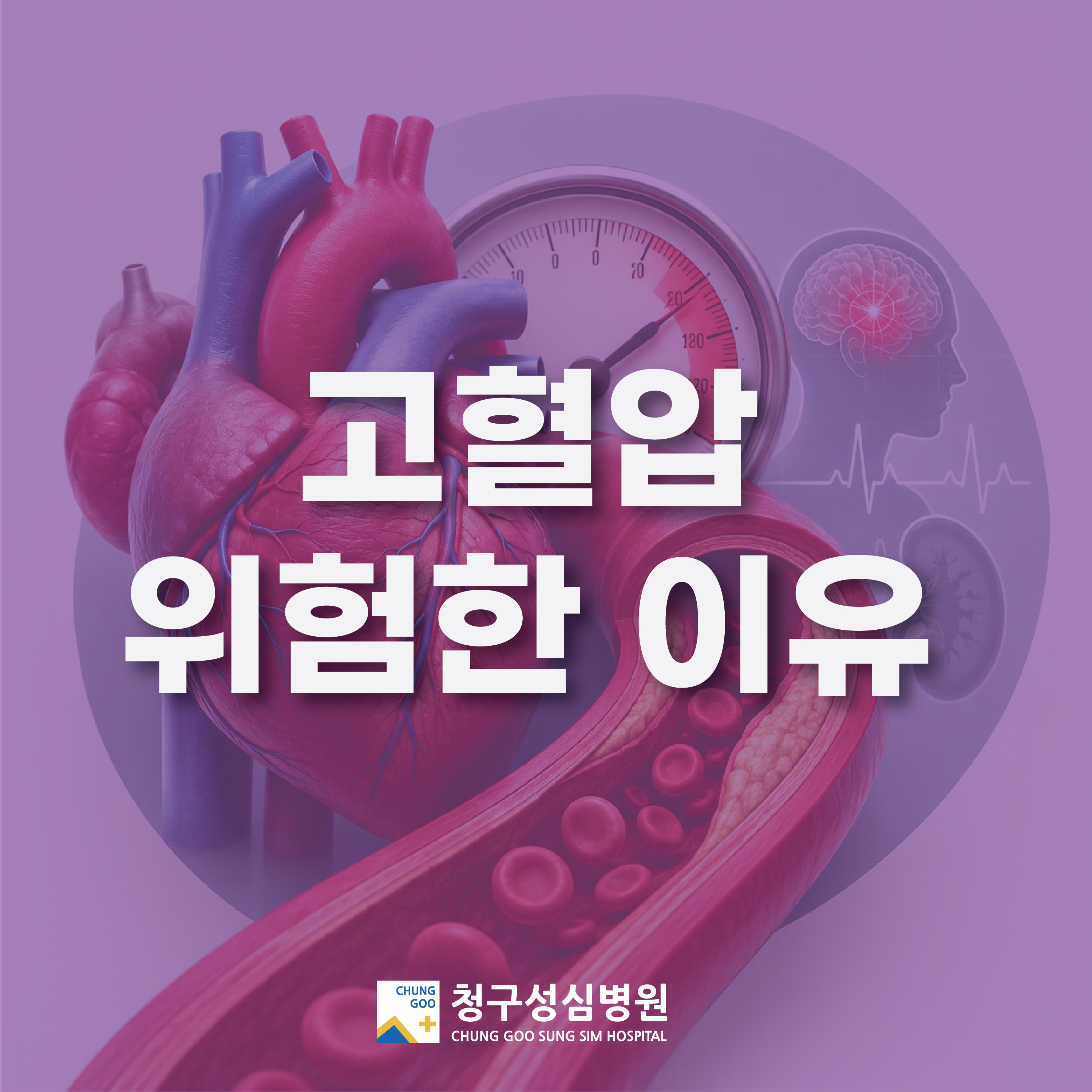 a40f5f9f97aa4.jpg
