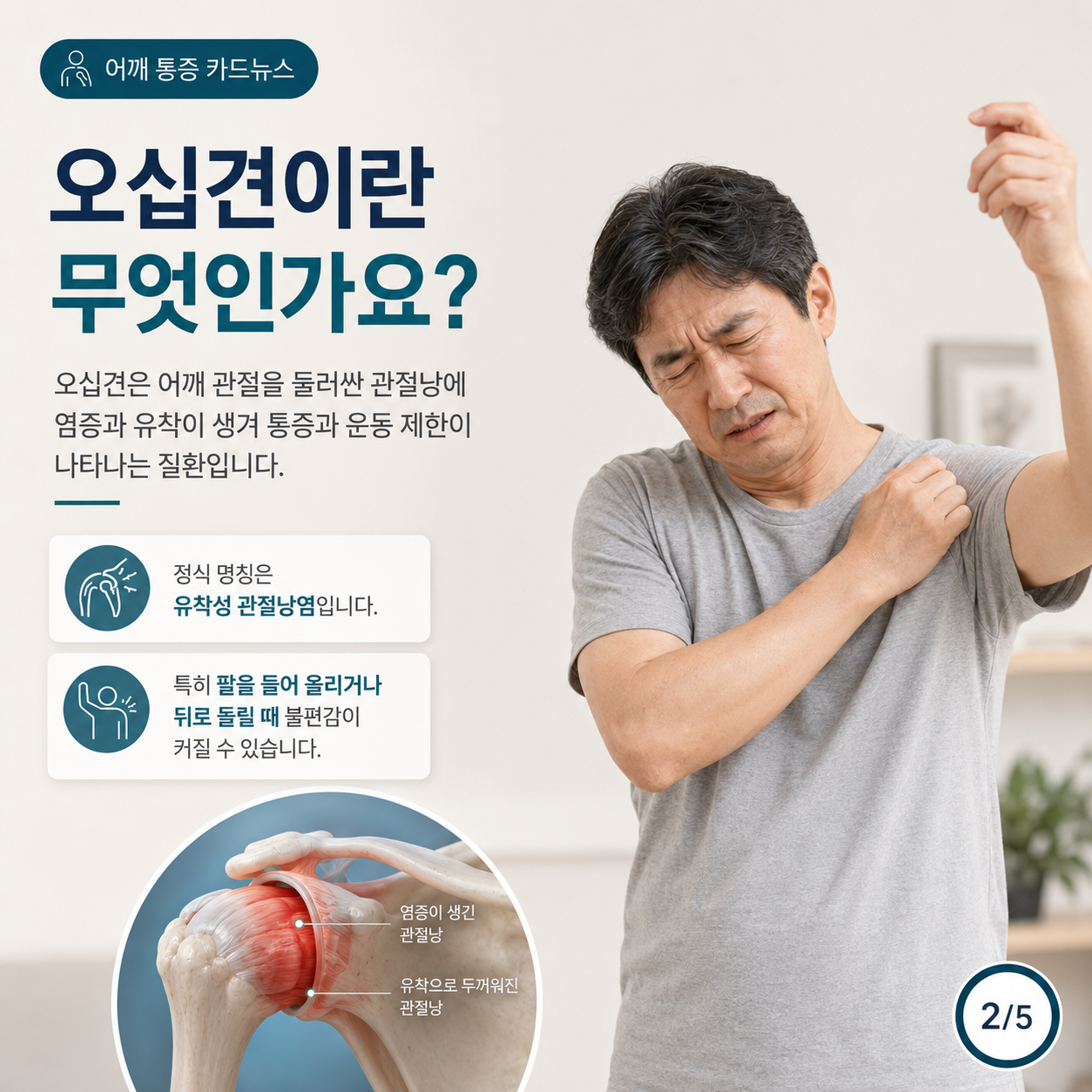 은평구어깨67.png