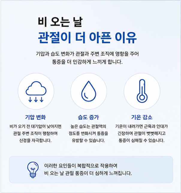 f50c8b1cd2a71.png