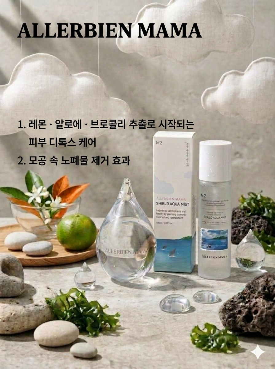 쉴드 아쿠아 딥레이어 앰플 미스트 NO.2
