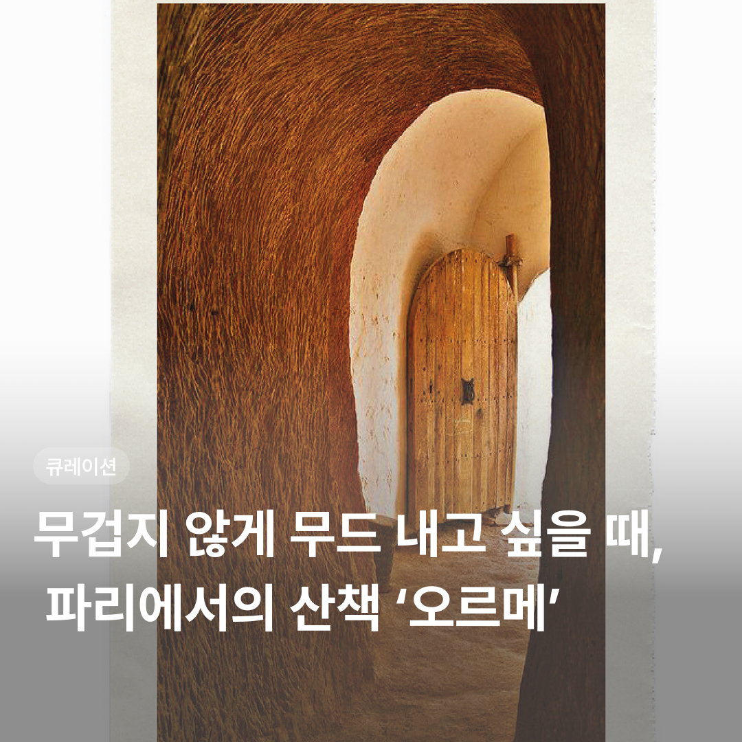 5188147ed2b32.png