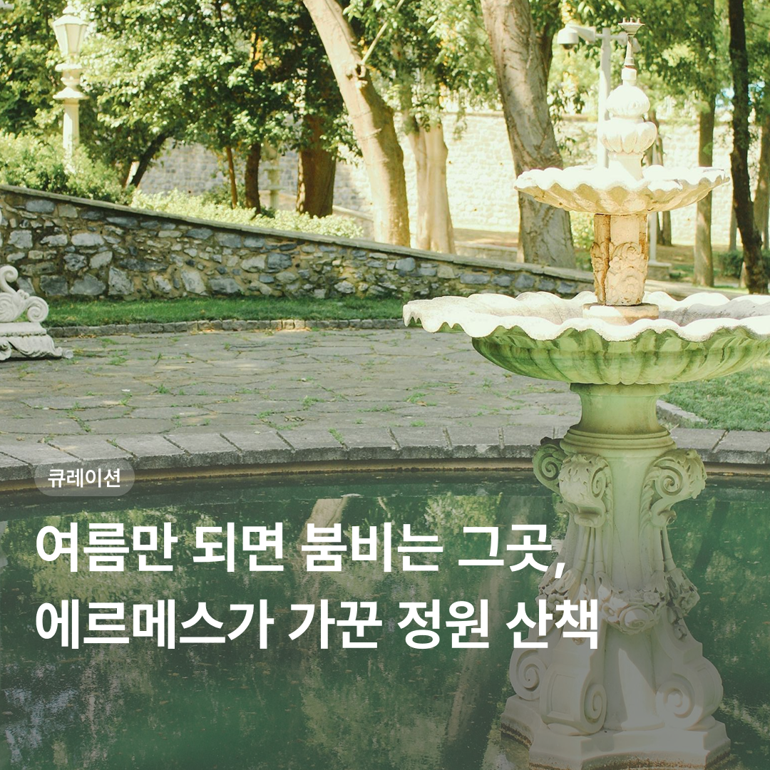 6dcd49c1d04a3.png