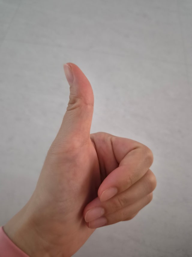 1d59e967539e9.jpg
