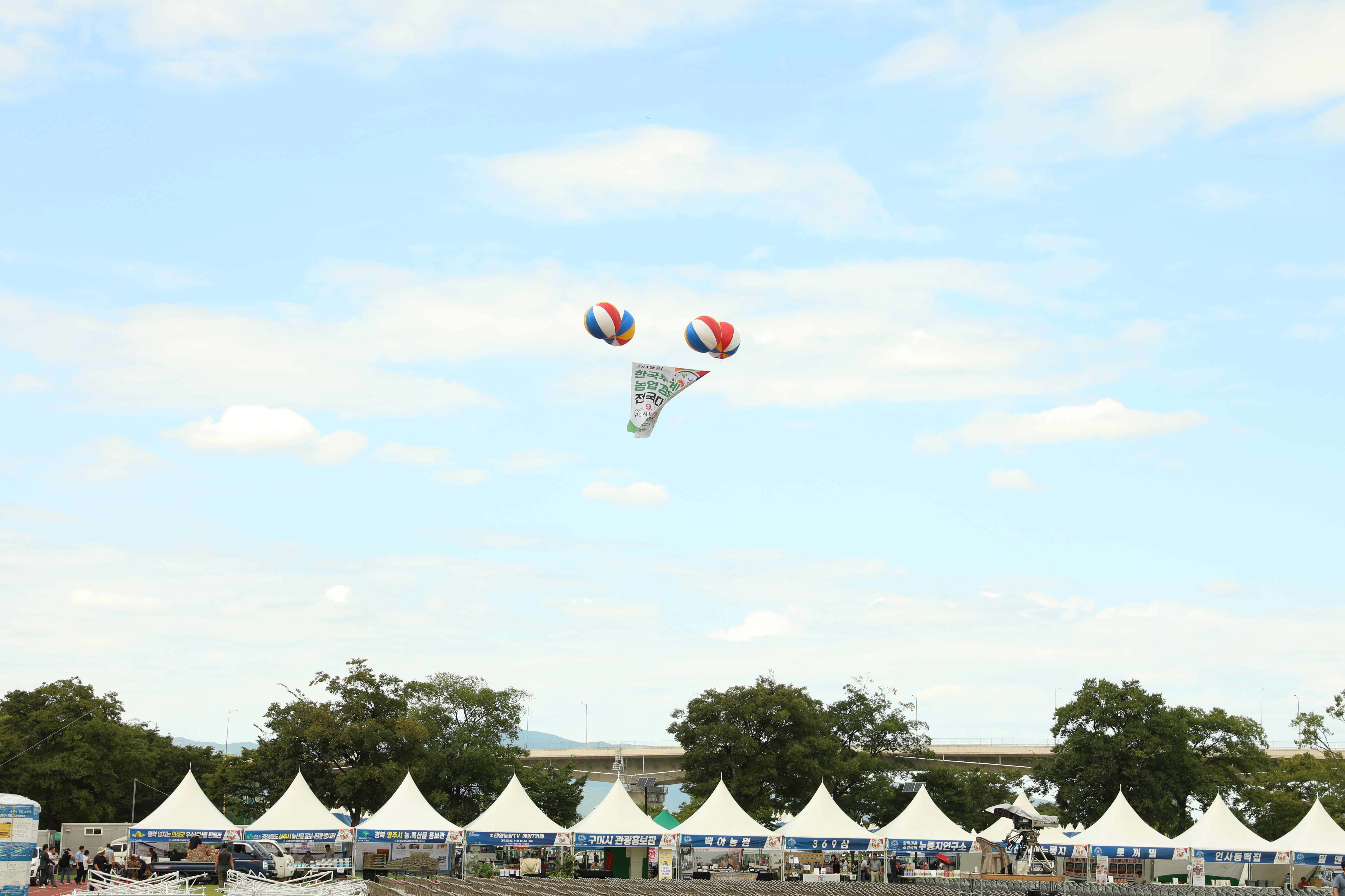 5e253f32de165.jpg