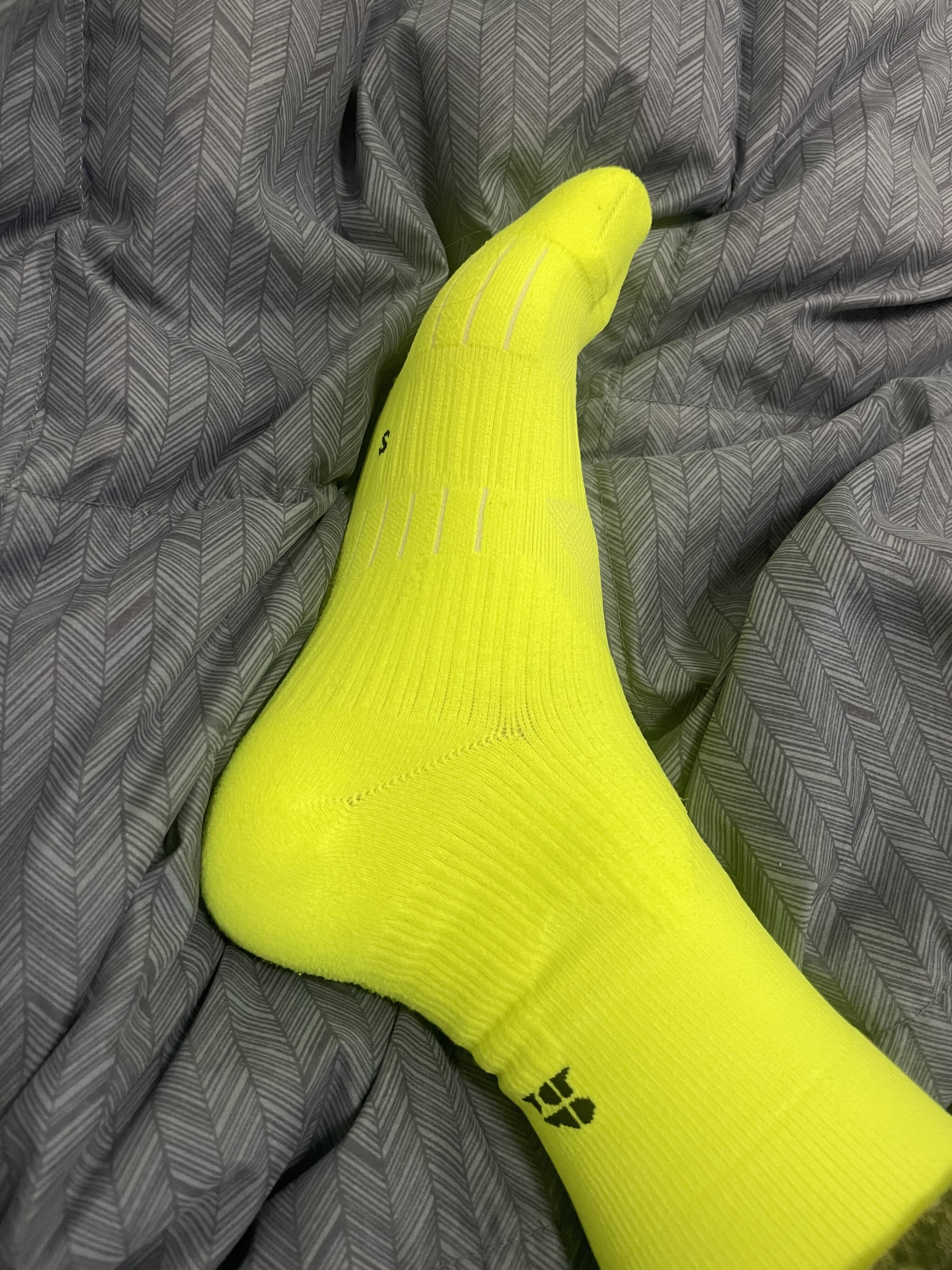 c121e6191a57b.jpeg