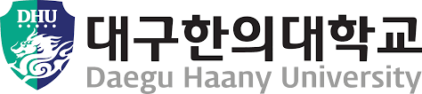 Daegu Haany University