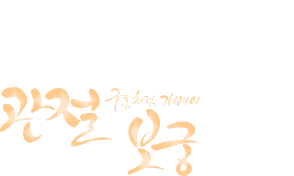 관절과 연골 건강을 함께 고려한 과학적 설계, 관절보궁