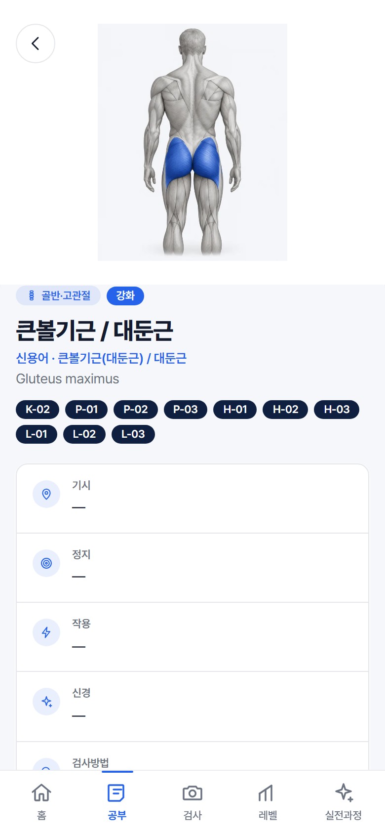 H7 강사 앱 근육 사전 화면