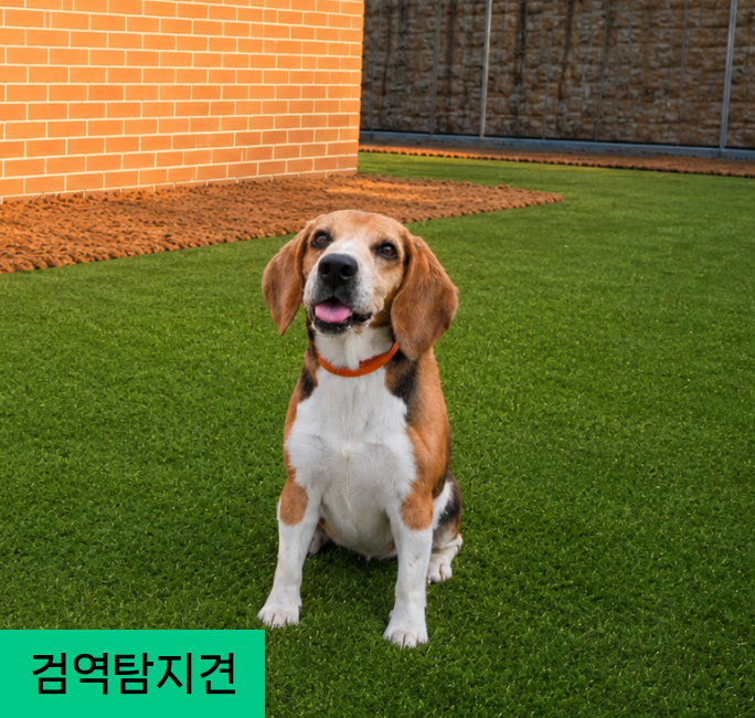 앤드
