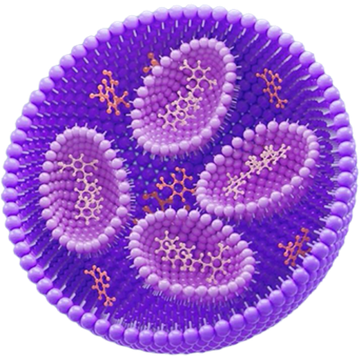 mRNA LNP Platform