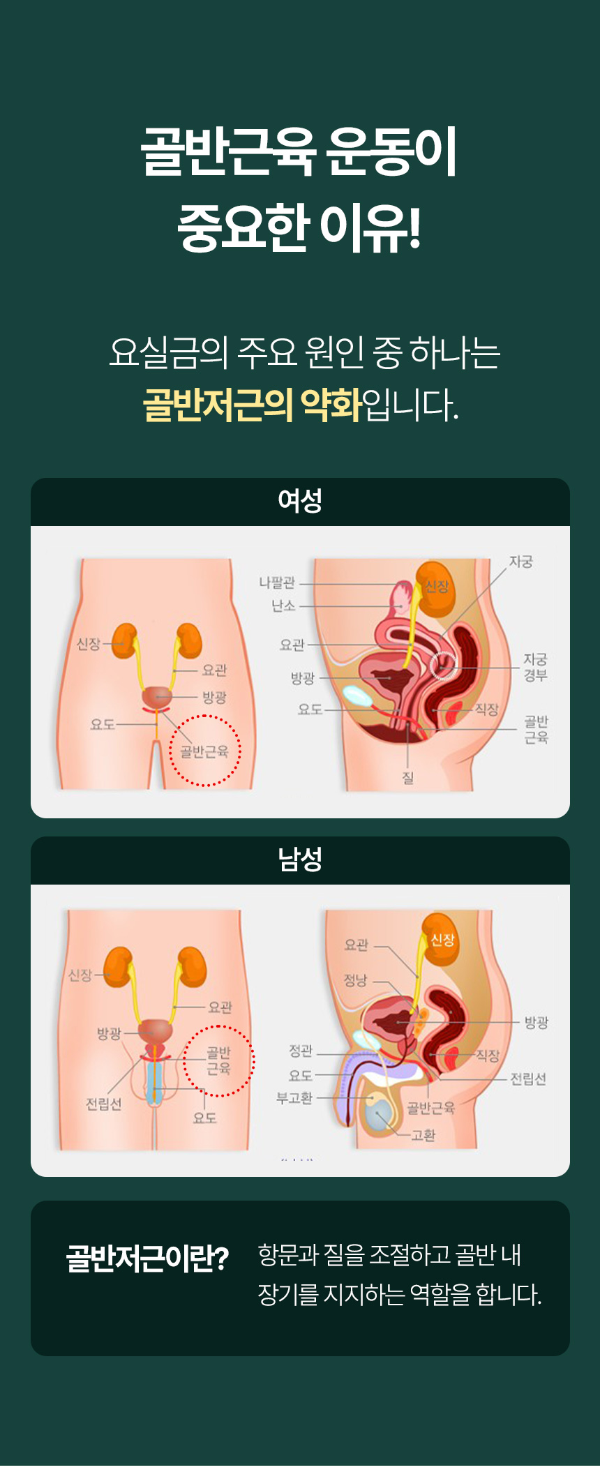 요실금 자극기