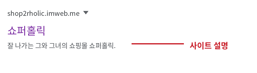검색 결과에 표시되는 사이트 설명